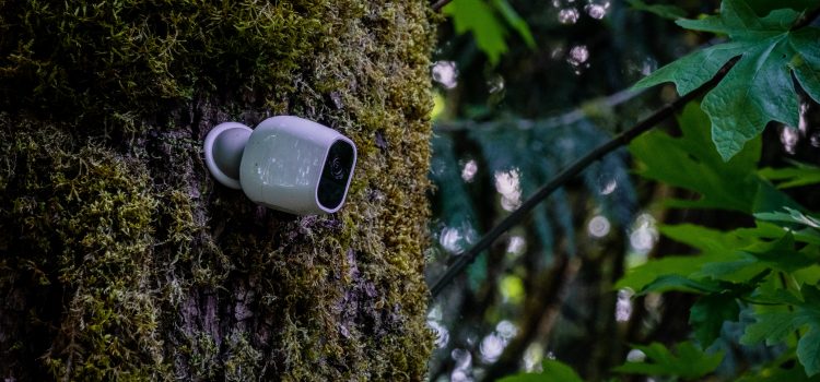 Las Mejores Cámaras de Vigilancia Cámara de vigilancia en un árbol