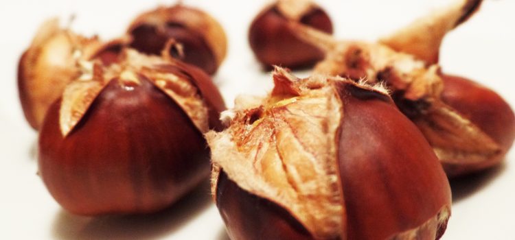 Abre Castañas, elige disfruta del Bocado de Otoño Tus castañas con el corte perfecto para asar